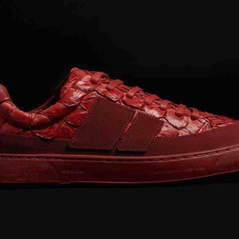 Nas tramas do Pirarucu