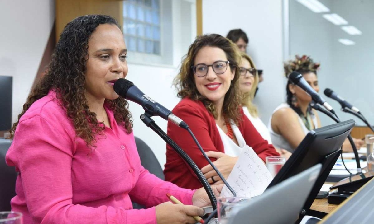 Deputada Ana Paula Siqueira (Rede) contesta comunicado de Bella Gonçalves (Psol) e diz que segue pré-candidata  -  (crédito: Guilherme Bergamini)