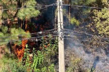 Minas em chamas: incêndios em vegetação crescem 77% em um mês 