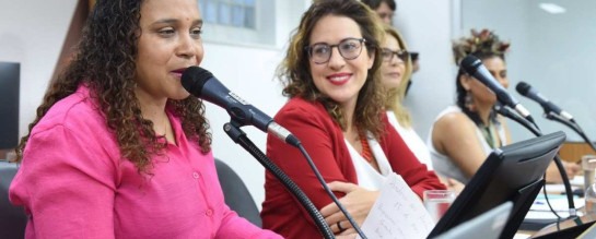 Ana Paula Siqueira contesta Psol e diz que segue pré-candidata em BH