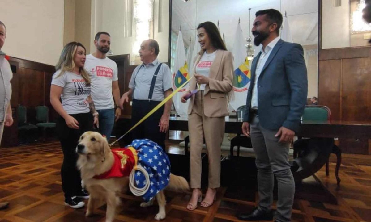 Visita de animais de estimação em unidades hospitalares pode alegrar pacientes internados -  (crédito: Jair Amaral/EM/DA Press)