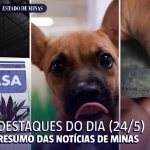 Destaques do dia (24/5): desconto na conta de água e visita de animais em h - : Leandro Couri/EM/D.A Press + Reprodução Agência Brasil + APF 