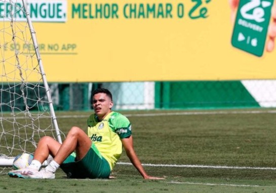 Foto: Cesar Greco/Palmeiras