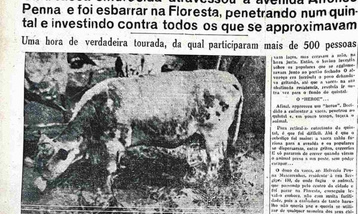 Em 1936, vaca fugiu do centro e foi aparecer no Bairro Floresta -  (crédito: Arquivo EM)