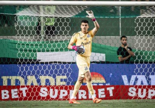 Foto: Raul Baretta/ Santos FC