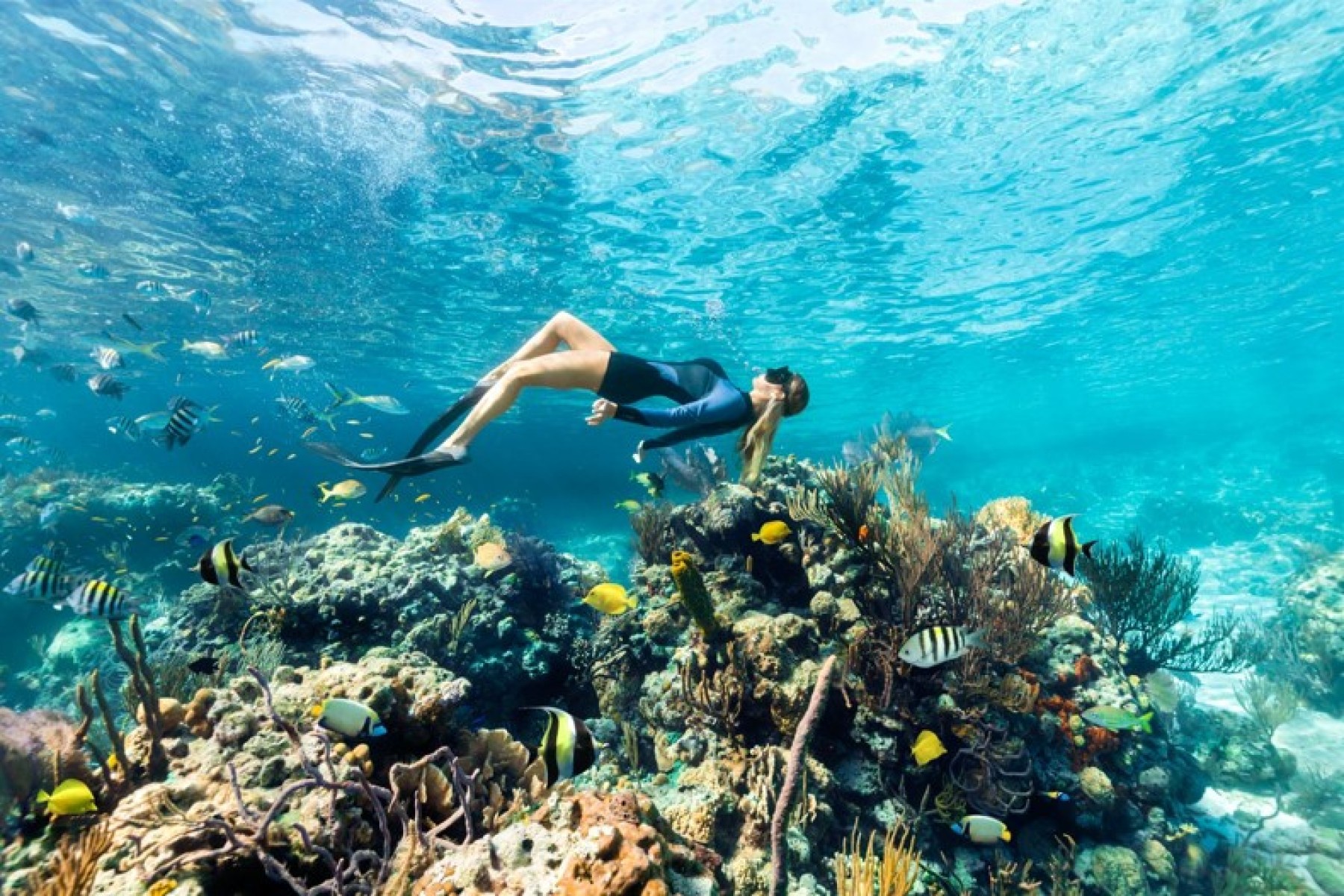 Explore a beleza natural e os tesouros submarinos da Barreira de Recifes de Andros, nas Bahamas