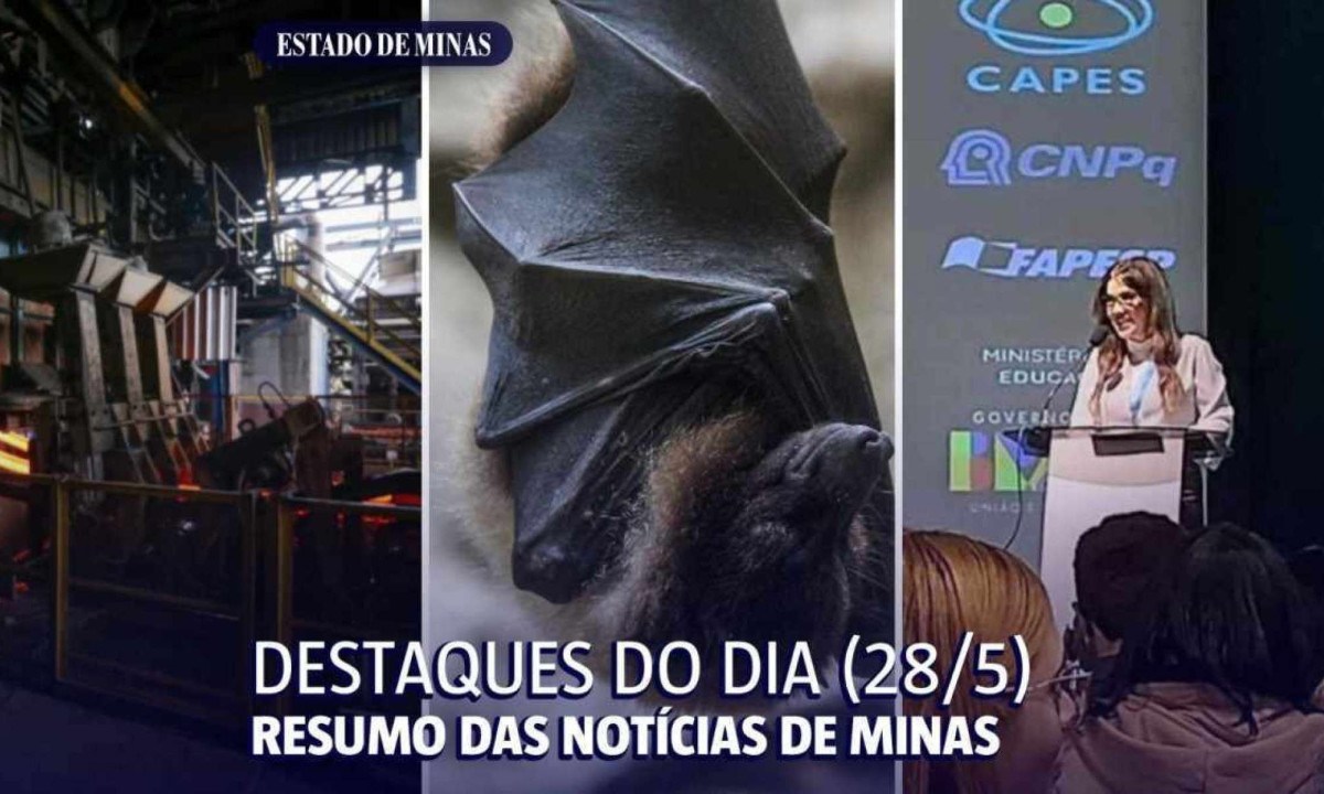 Resumo das notícias de Minas Gerais desta terça-feira (28/5) -  (crédito: Arte sobre fotos de Gerdau/Reprodução, Freepik/Reprodução e Arquivo pessoal)