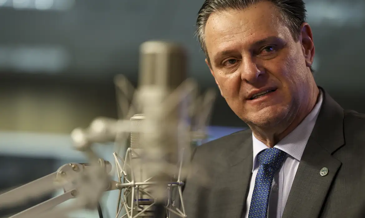 Arroz importado chegará em até 40 dias, estima ministro da Agricultura -  (crédito: EBC)