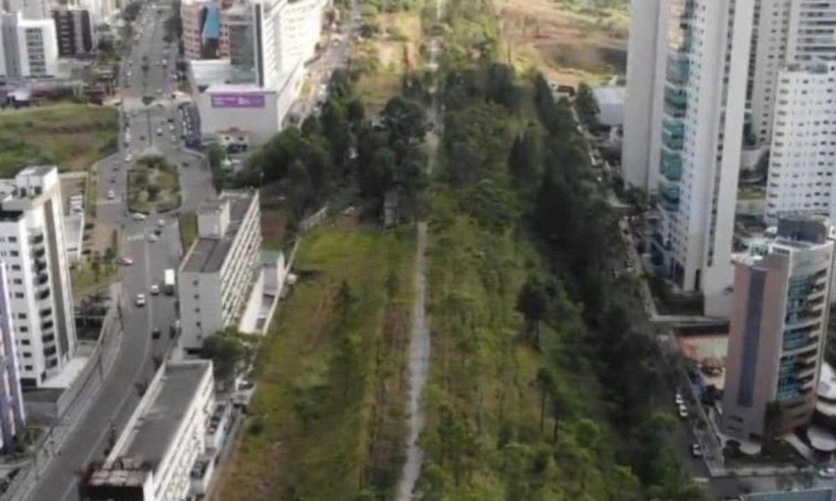 Área que pode ser transformada em parque linear em BH -  (crédito: Reprodução/Instagram @parquelinearbh)