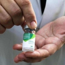 Prefeitura de BH prorroga campanha de vacinação contra a gripe - Divulgação/PBH