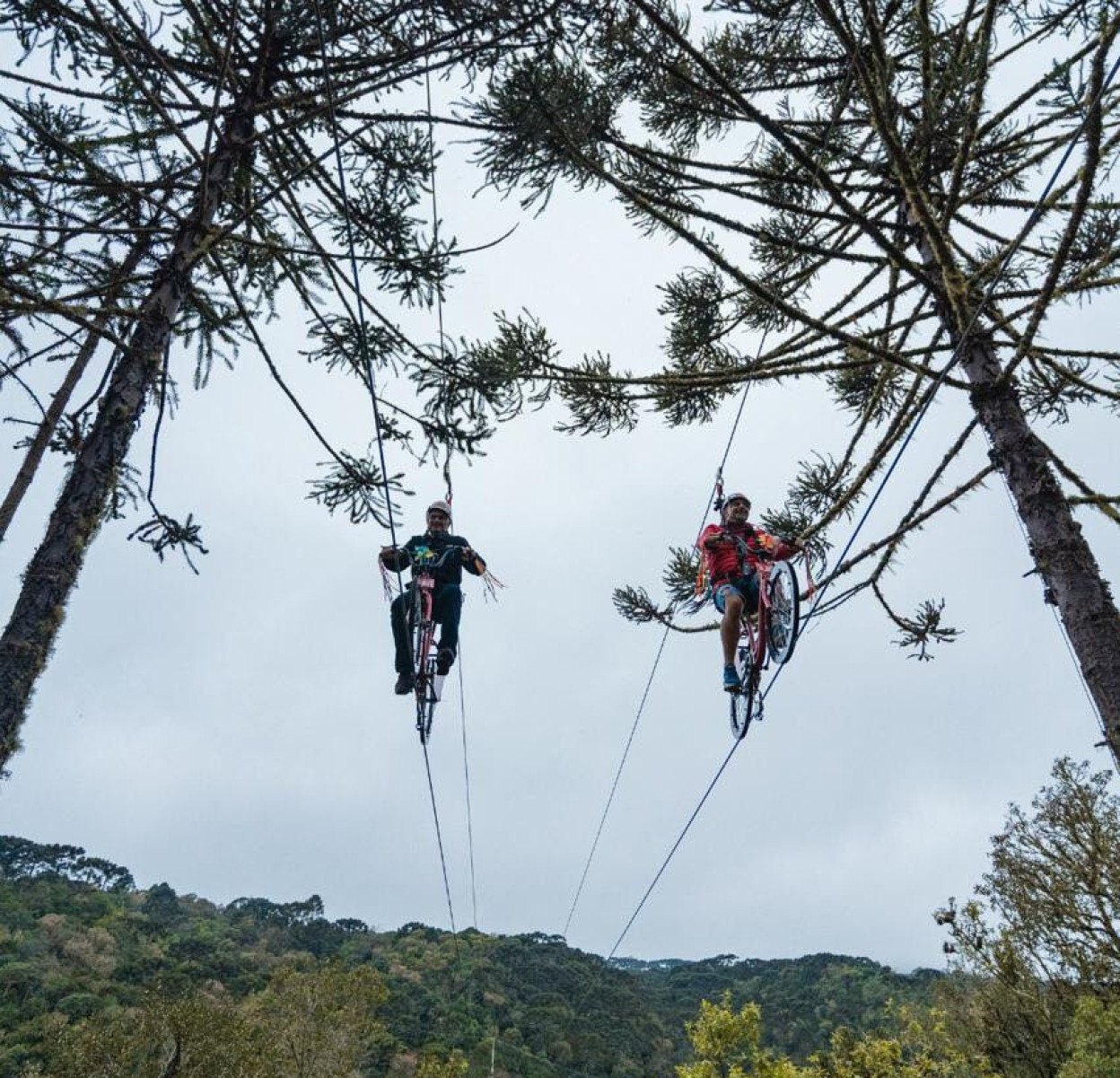 Tirolesa de Bike na Serra Catarinense oferece experiência única com a sensação de pedalar nas nuvens