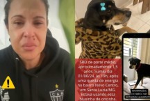 Advogada de Santa Luzia faz apelo por cachorra de estimação desaparecida