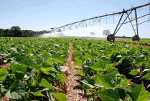 Agricultura de baixo carbono: o futuro tem que ser sustentável