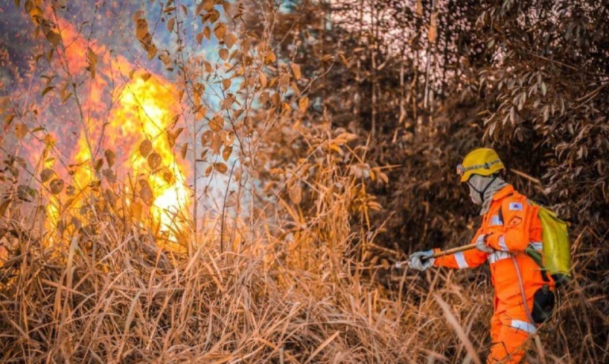Em maio de 2024, Minas Gerais registrou 3.063 casos de incêndios em vegetação -  (crédito: Divulgação CBMMG)