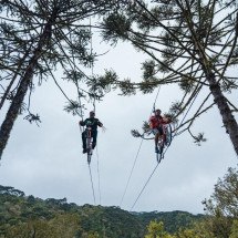 WebStories: Aventura na Natureza: Visitantes percorrem tirolesa sobre bicicleta