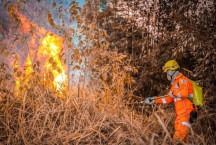 Minas: Ocorrências de queimadas mais que dobraram em um mês