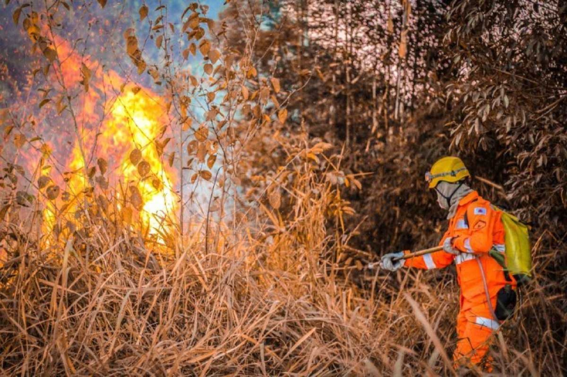MG: incêndios em vegetações crescem 114% em maio