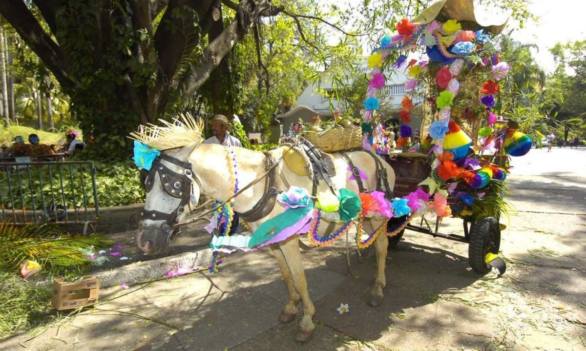  Ativistas assinam documento contra carroças puxadas por animais no Arraial de Belô
 -  (crédito:  Gladyston Rodrigues/EM)