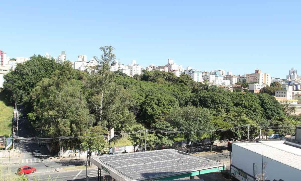 Mata do Jardim América se tornará Parque Municipal -  (crédito: Edesio Ferreira/EM/D.A Press)