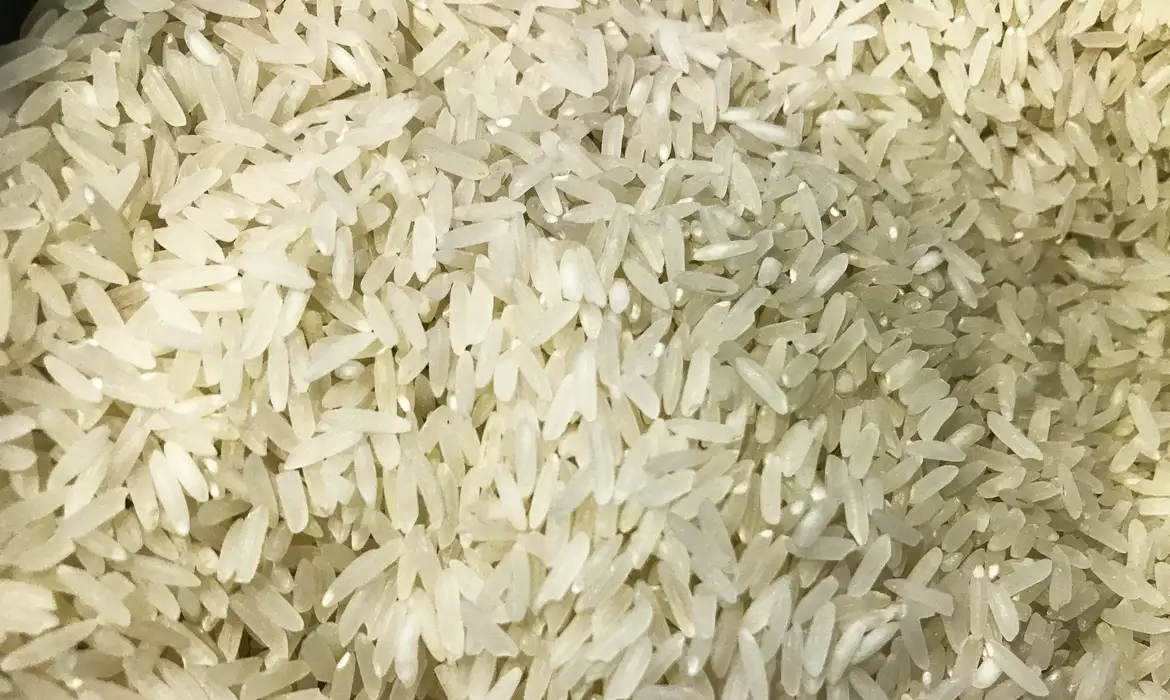 Justiça suspende leilão para compra de arroz importado - EBC - Justi&ccedil;a