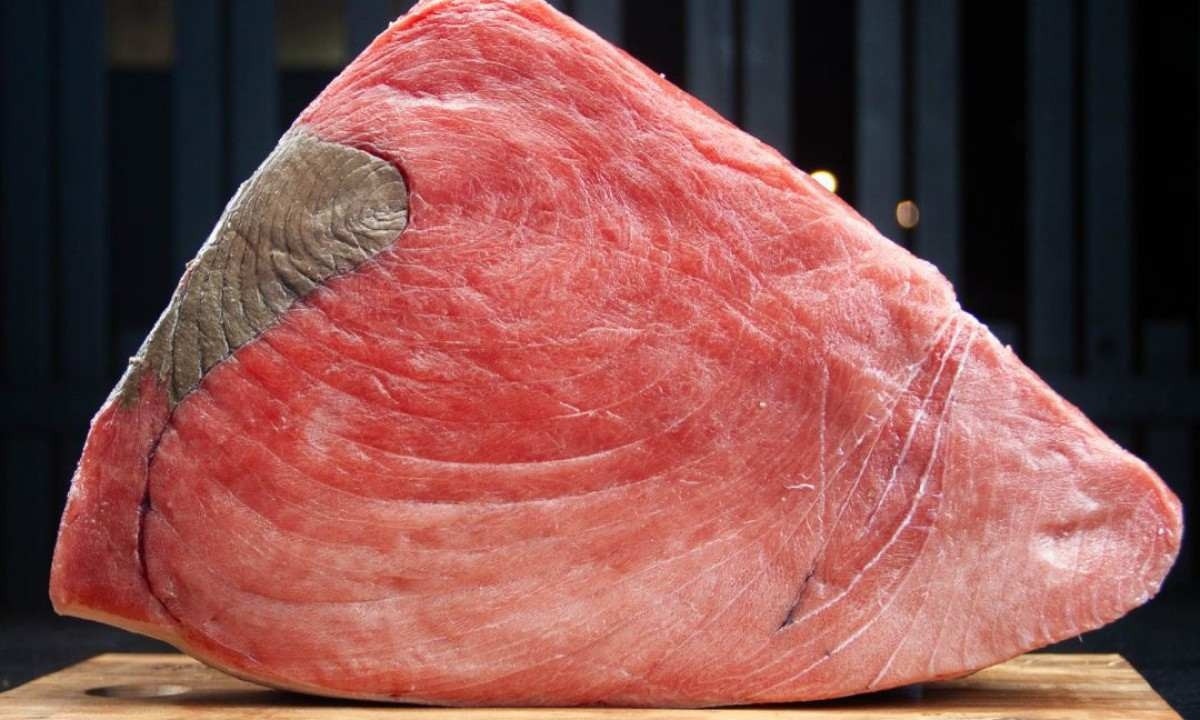 Restaurante Udon traz peça de bluefin da Espanha -  (crédito: Julie Melo/Divulgação)