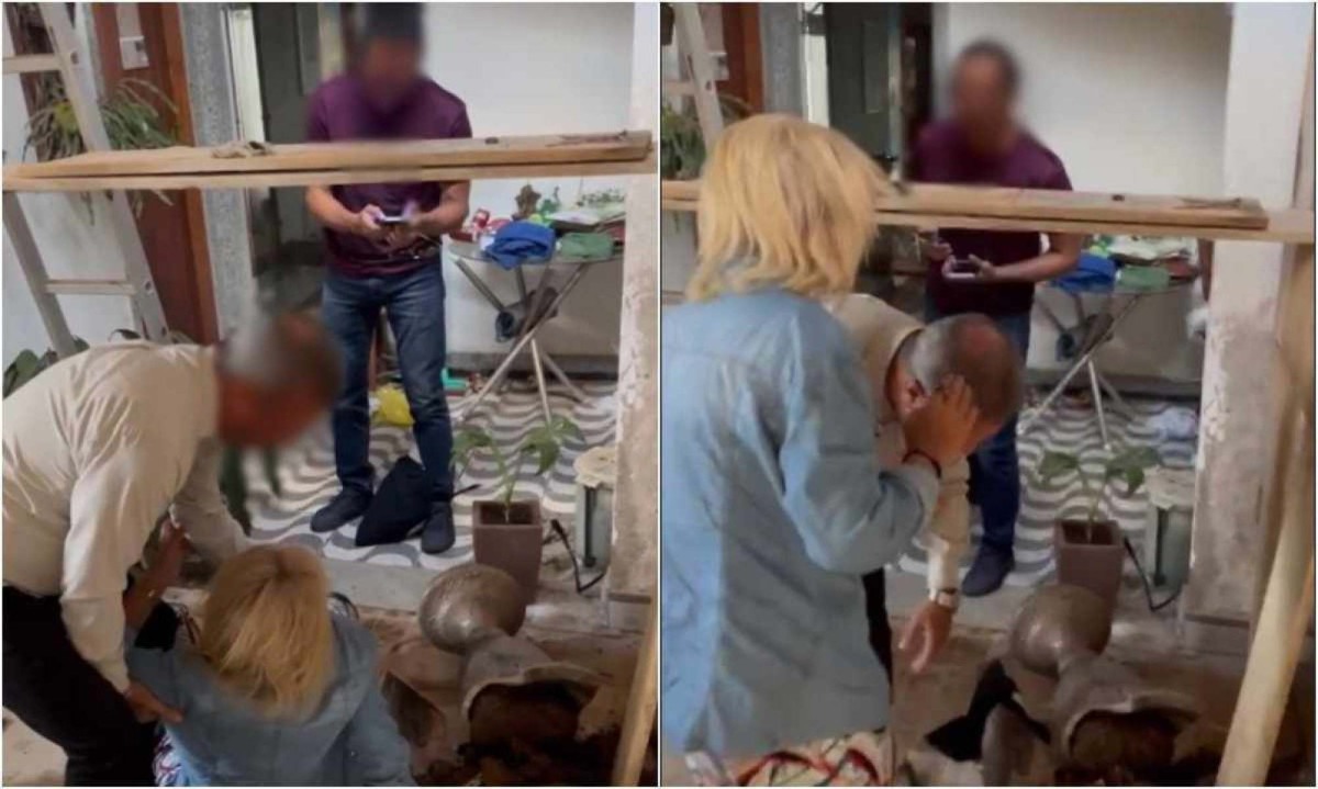 Idosa de 68 anos foi atacada pelo enteado em Sabar&aacute;, na Regi&atilde;o Metropolitana de Belo Horizonte -  (crédito: Arquivo Pessoal )