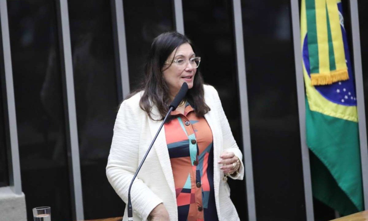 Deputada federal Bia Kicis -  (crédito: Zeca Ribeiro/Câmara dos Deputados)