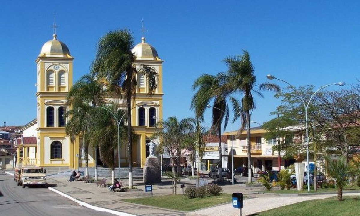 Cidade abre vacina&ccedil;&atilde;o da febre amarela ap&oacute;s macaco ser encontrado morto -  (crédito: Divulga&ccedil;&atilde;o / Prefeitura Municipal de Santa Rita de Caldas)