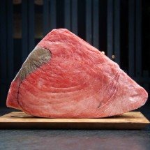O peixe que tem status de iguaria e movimenta milhões no Japão - Julie Melo/Divulgação