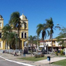 Cidade abre vacinação contra febre amarela após macaco ser encontrado morto - Divulga&ccedil;&atilde;o / Prefeitura Municipal de Santa Rita de Caldas