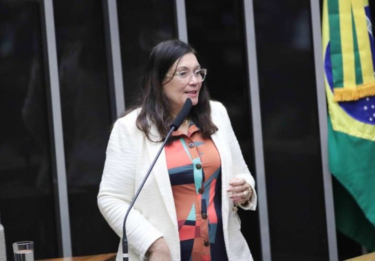 Zeca Ribeiro/Câmara dos Deputados