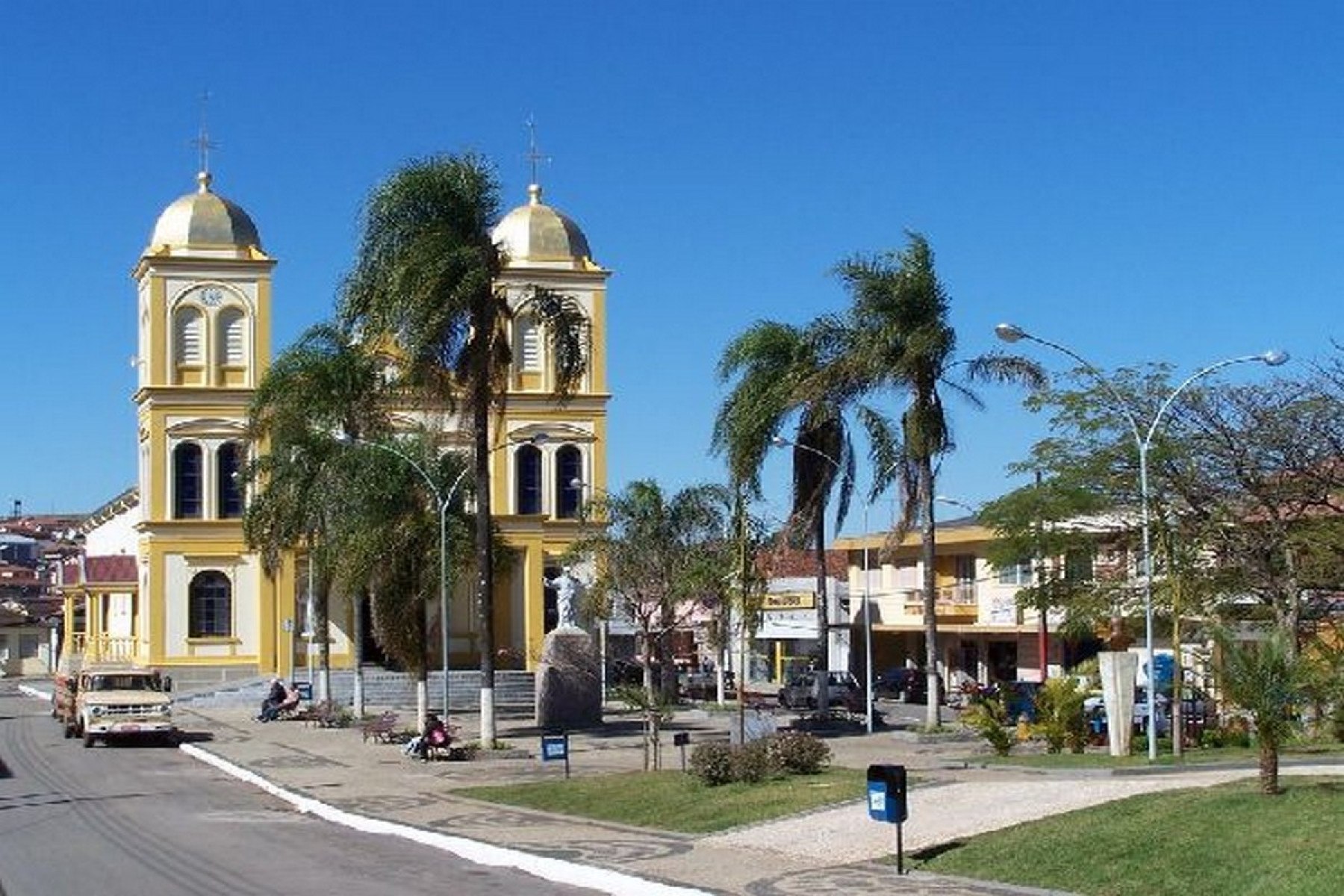 Cidade abre vacinação contra febre amarela após macaco ser encontrado morto