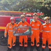 Vídeo: bombeiros capturam arara presa em banheiro de condomínio em BH - CBMMG/Divulgação 