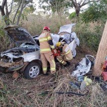 MG: irmãos batem carro em árvore e um deles morre preso às ferragens - Corpo de Bombeiros