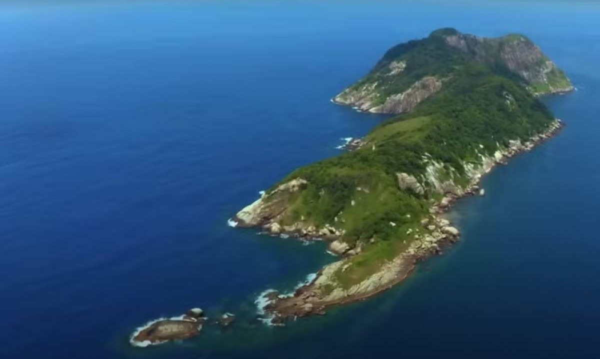 Ilha da Queimada Grande – Brasil
 -  (crédito: Divulgação/ICMBio)