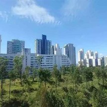 Belo Horizonte registra sensação de 1,8ºC na manhã de domingo - Divulgação