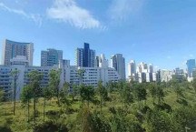 Belo Horizonte registra sensação de 1,8ºC na manhã de domingo