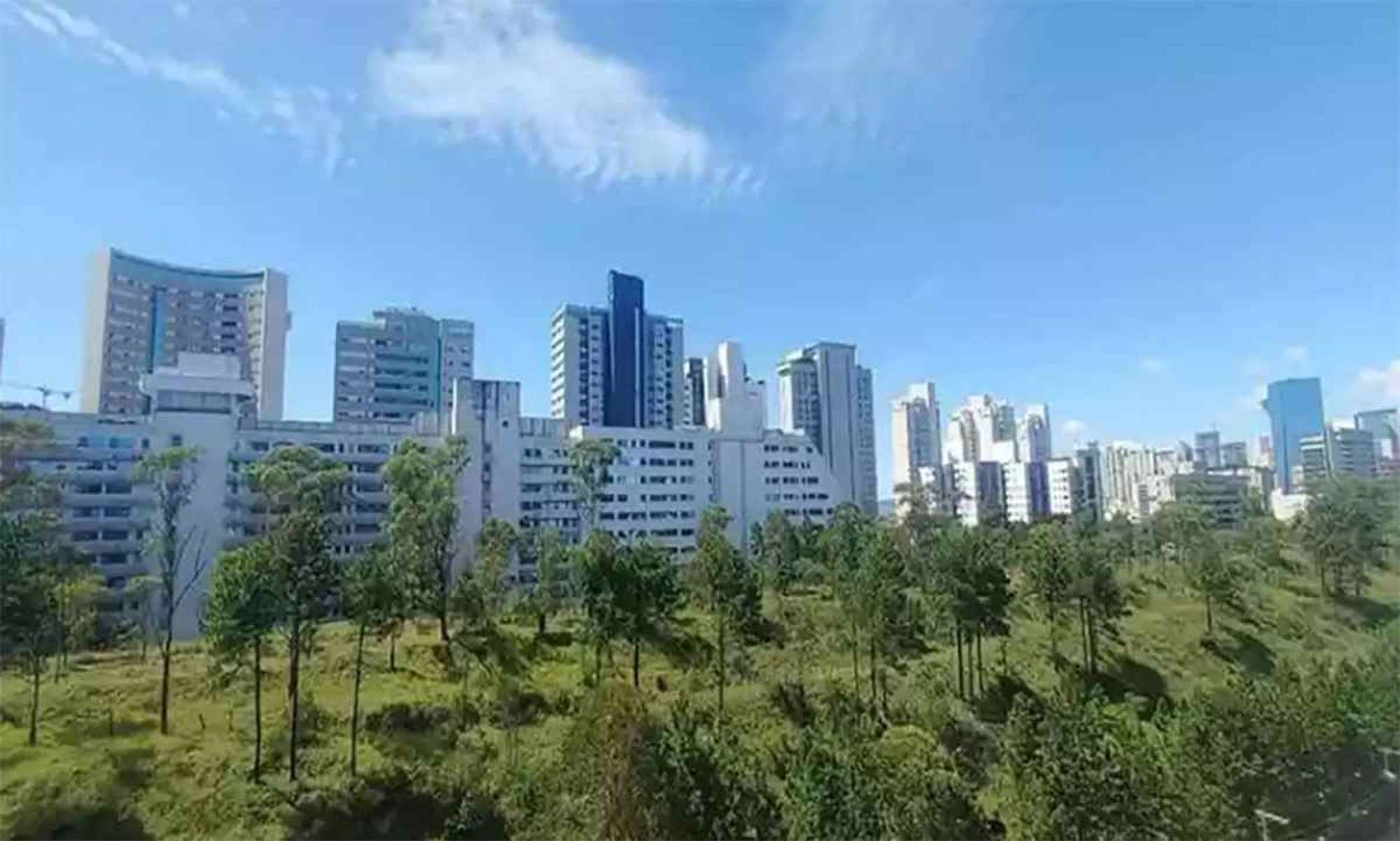 Belo Horizonte registra sensação de 1,8ºC na manhã de domingo