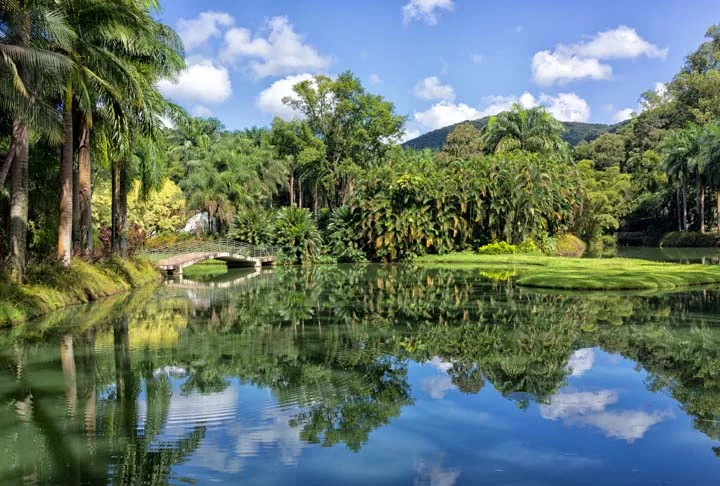 O Instituto Inhotim, em Brumadinho, a 65 km de Belo Horizonte (MG), é o maior centro de arte contemporânea a céu aberto do mundo. Bem como um jardim botânico numa área de transição entre o Cerrado e a Mata Atlântica, dois biomas com grande biodiversidade.  -  (crédito: Otávio Nogueira - Wikimédia Commons)
