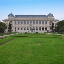 WebStories: Jardim das Plantas, em Paris, faz 384 anos