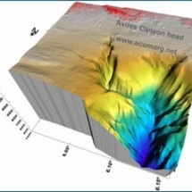 WebStories: Cânion mais profundo do planeta impressiona os cientistas