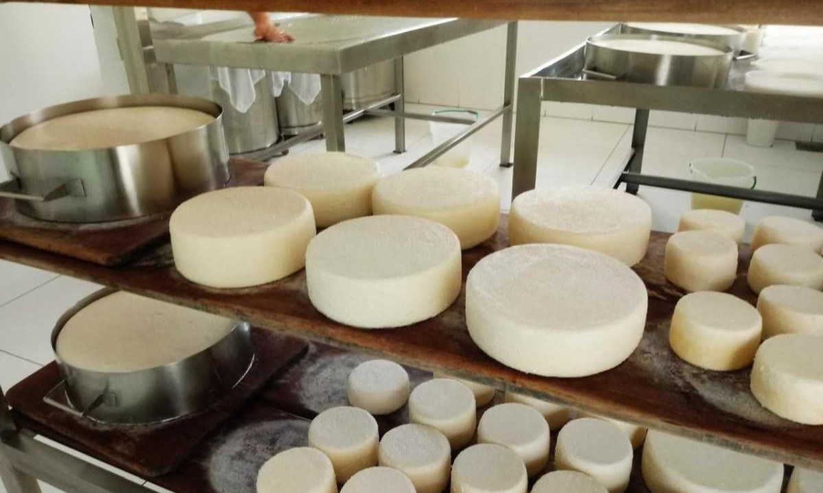 O sabor dos queijos artesanais varia de acordo com a região onde é produzido, sendo influenciado pela altitude, solo, clima da localidade, tipo de vegetação e pela água -  (crédito: Renata de Paoli/Divulgação)