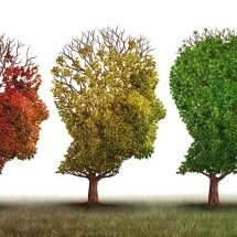 Qual a diferença entre Alzheimer e demência? - Getty Images