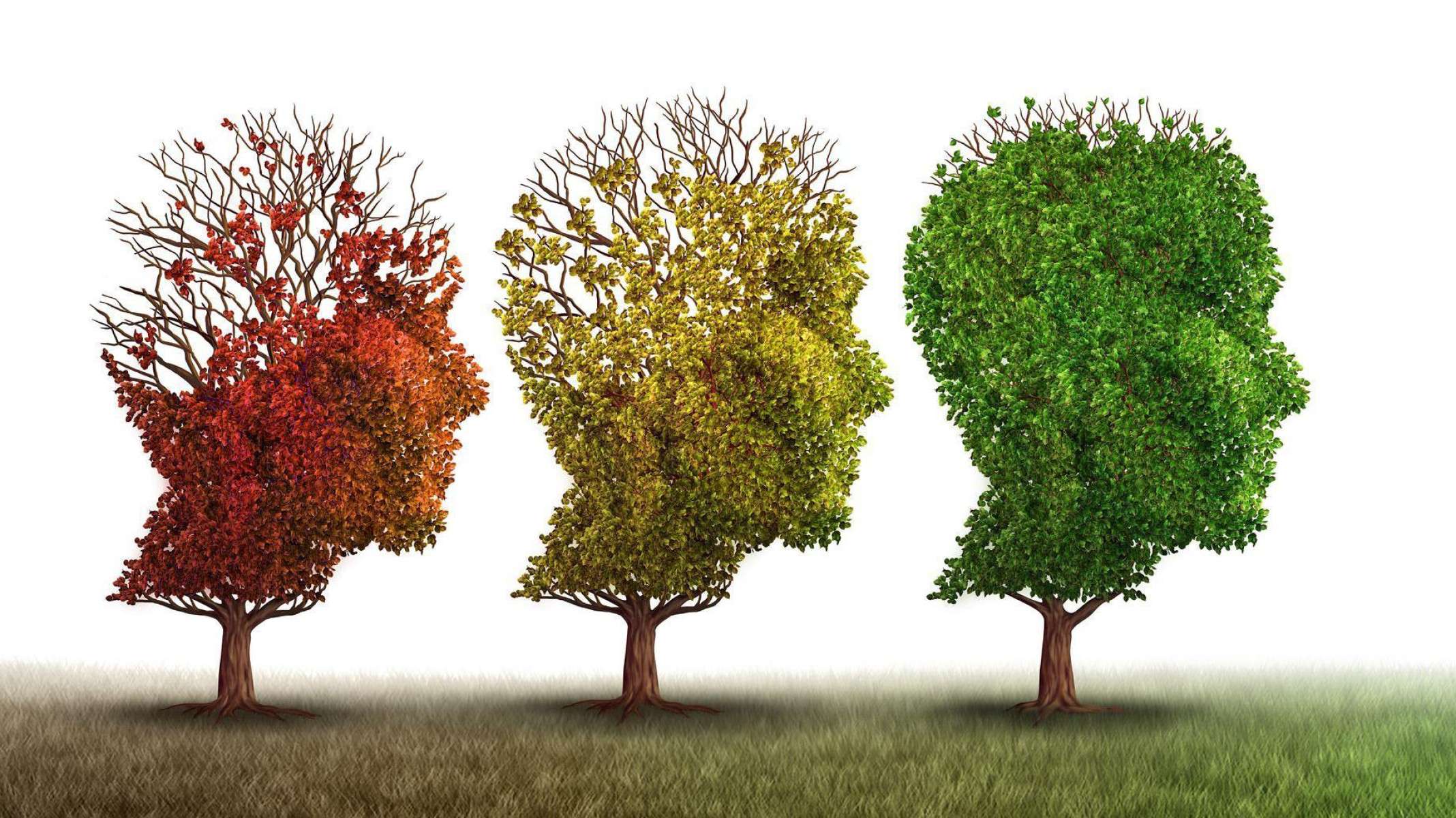 Qual a diferença entre Alzheimer e demência?