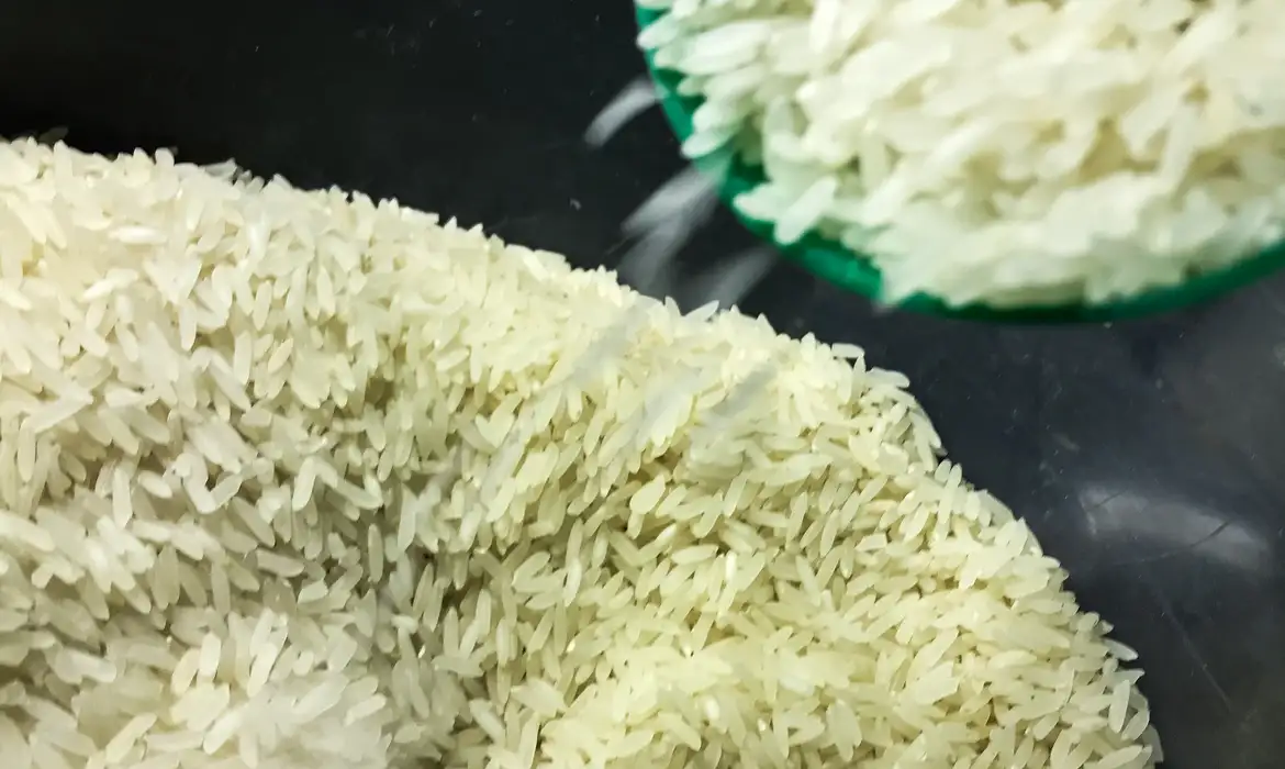 Governo federal descarta novo leilão de arroz