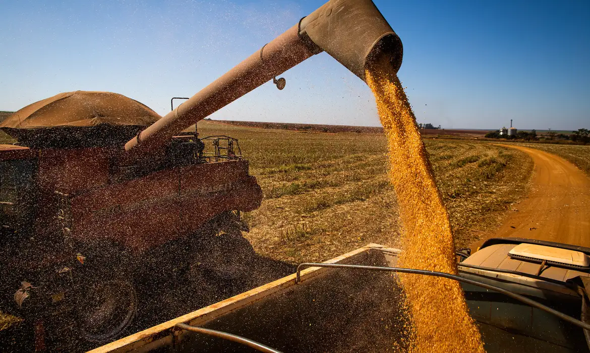 Brasil colherá 297,5 milhões de toneladas de grãos, estima a Conab -  (crédito: EBC)