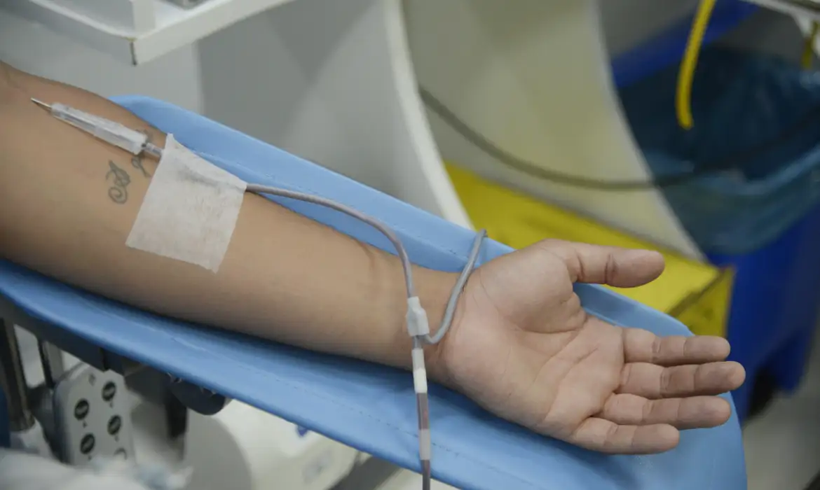 Dia Mundial do Doador de Sangue: saiba mais sobre a doação regular -  (crédito: EBC - Saúde)