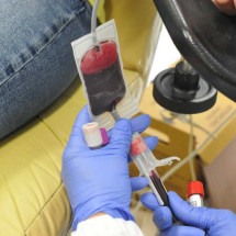 Dia Mundial do Doador de Sangue: somente 1,8% de mineiros é doador - Gladyston Rodrigues /EM /D.A Press