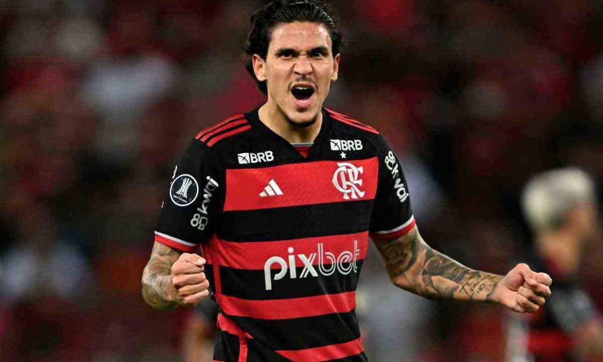 Atacante Pedro é um dos destaques do Flamengo nesta temporada -  (crédito: MAURO PIMENTEL/AFP)