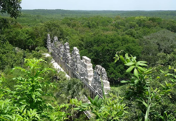 WebStories: Arqueólogos encontram antiga cidade Maia em floresta mexicana
